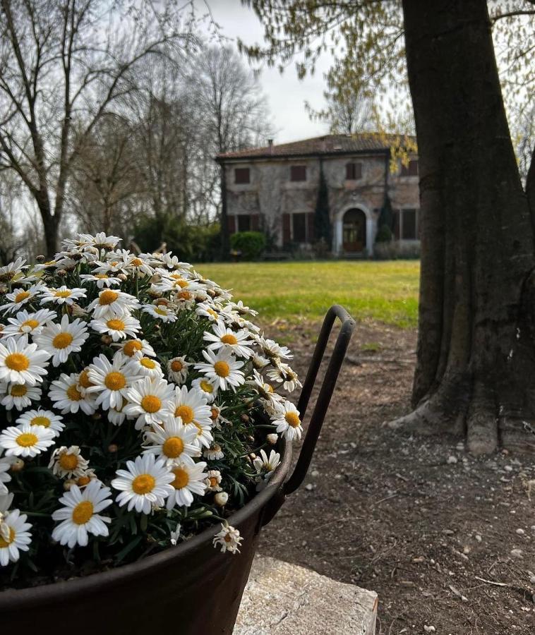 Agriturismo Corte San Girolamo Mantova Bagian luar foto