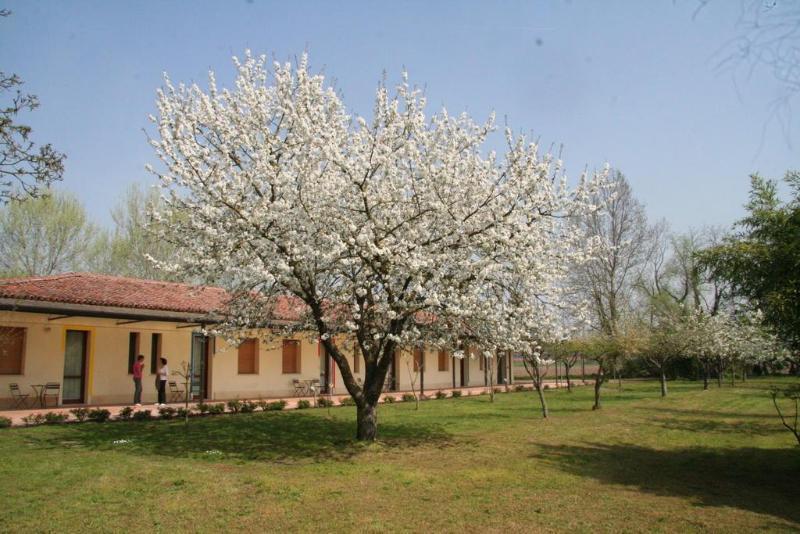 Agriturismo Corte San Girolamo Mantova Bagian luar foto